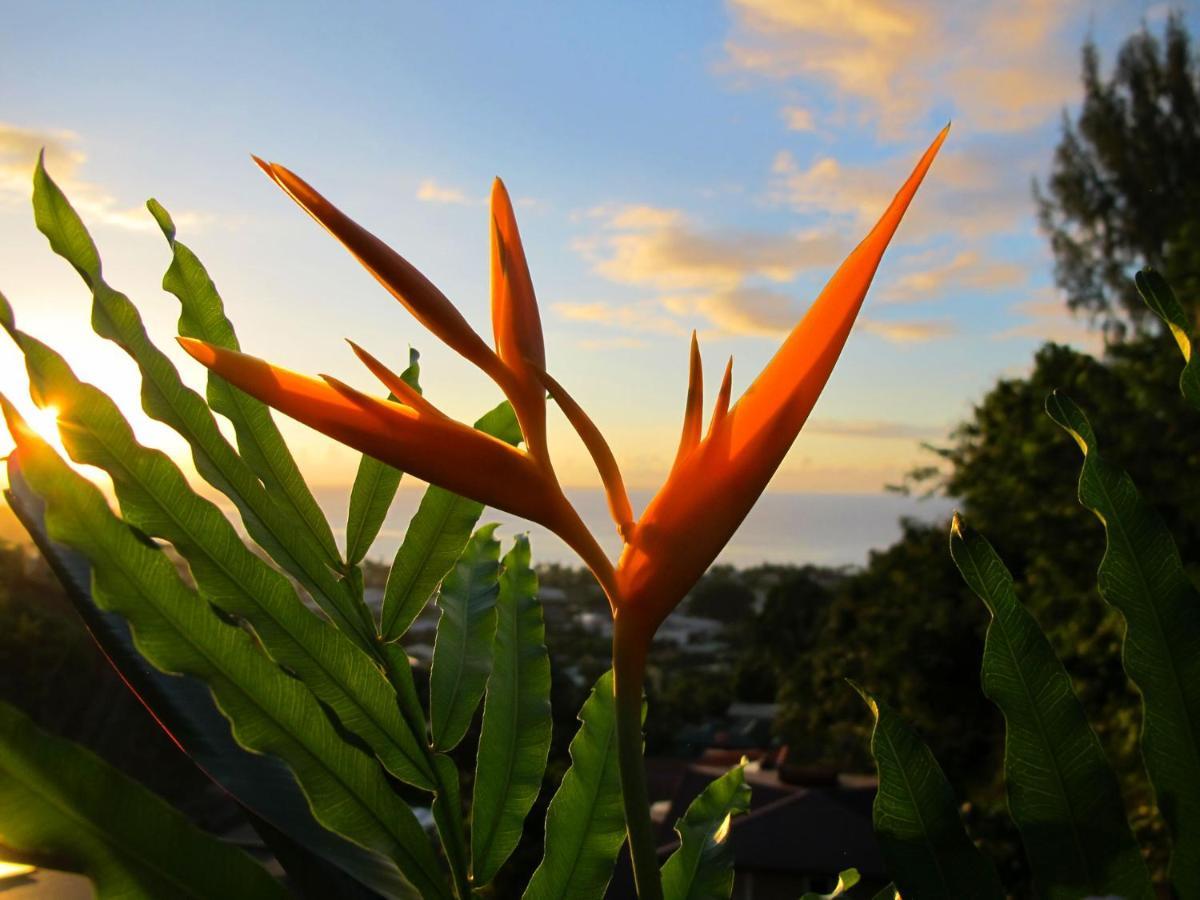 Bounty Lodge Tahiti Arue (Tahiti) Exterior foto